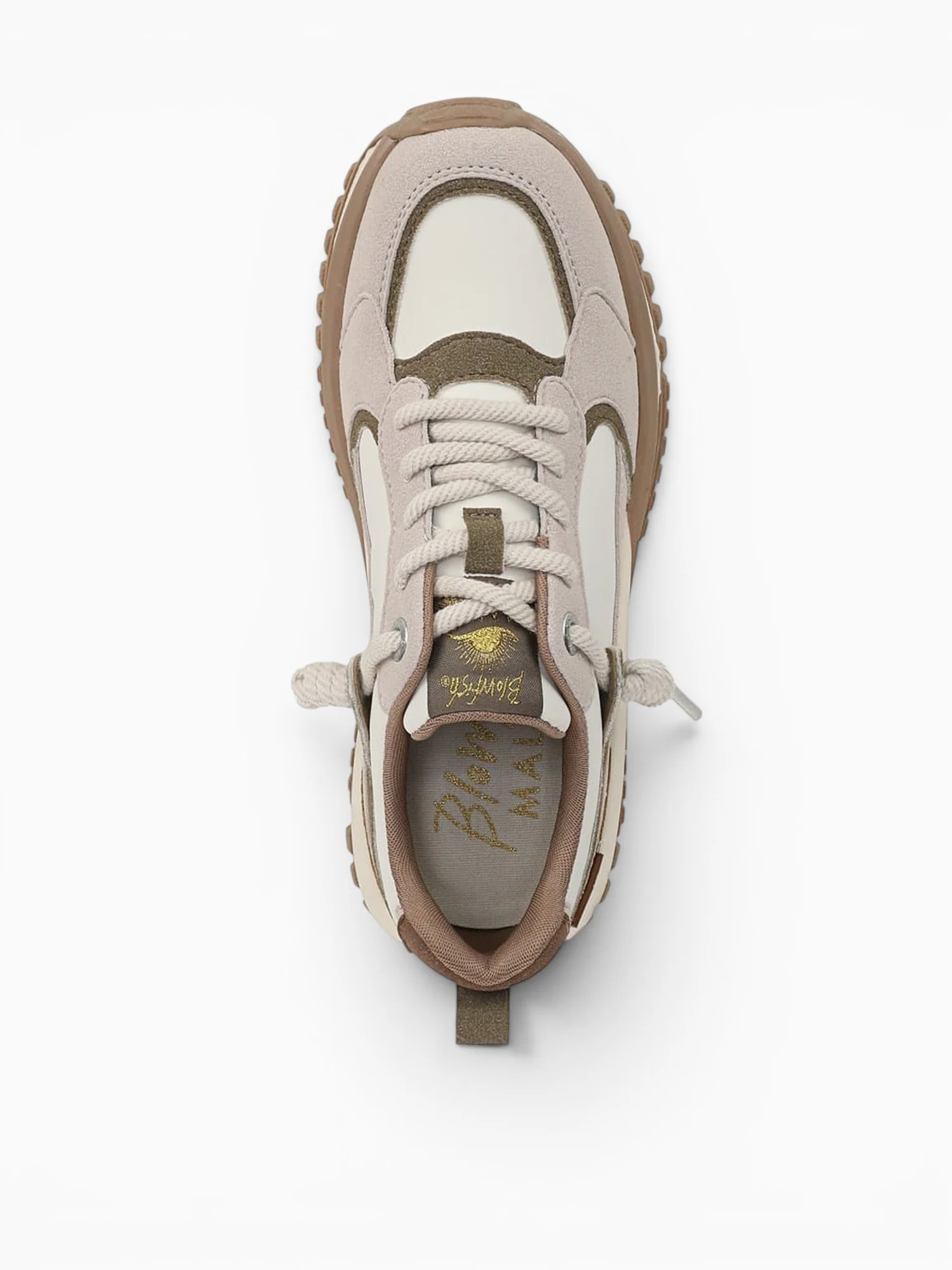 Leotina Olive Seed - Image 4